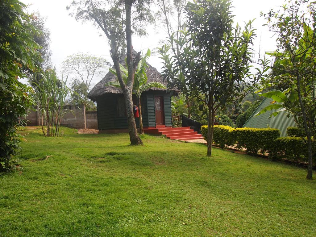 Songota Falls Lodge Arusha Rum bild