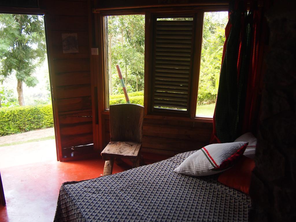 Songota Falls Lodge Arusha Rum bild