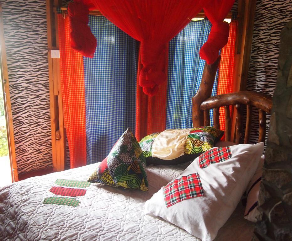 Songota Falls Lodge Arusha Rum bild