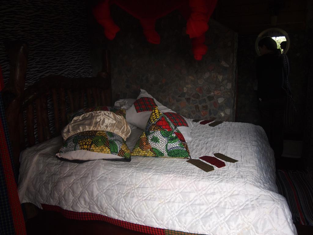Songota Falls Lodge Arusha Rum bild